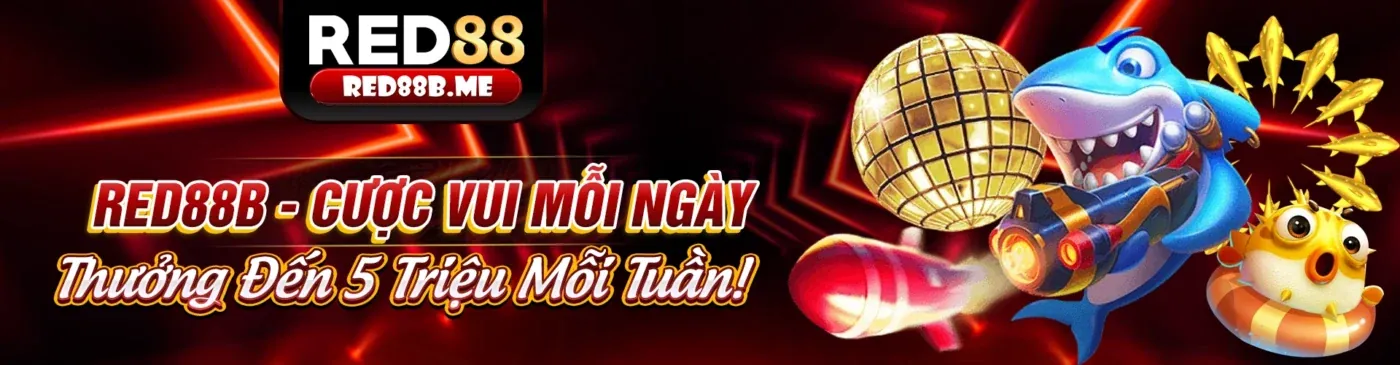 Tổng quan các chương trình khuyến mãi mới nhất của Cat368